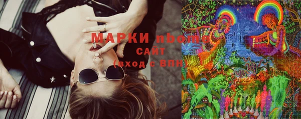 тгк Новокубанск