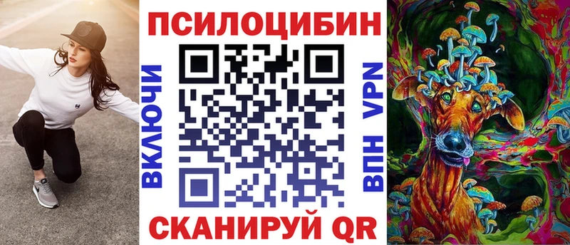 omg   Балашов  Псилоцибиновые грибы Psilocybe 