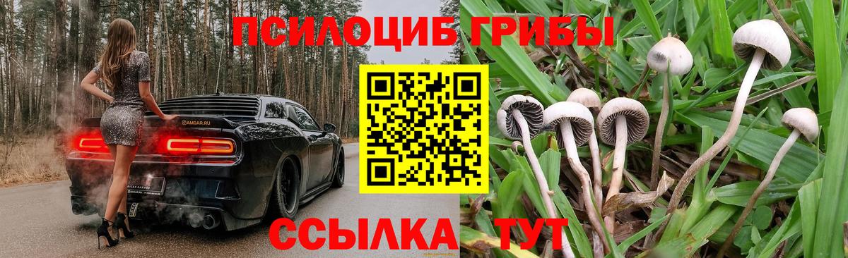 Псилоцибиновые грибы ЛСД Балашов
