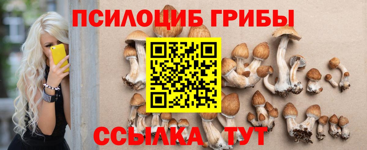 Балашов  Псилоцибиновые грибы MAGIC MUSHROOMS  купить наркотики сайты  Вход с VPN 